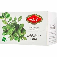 دم نوش گیاهی نعناع 20عدد گلستان