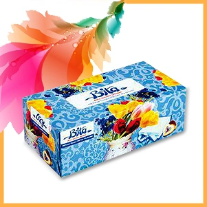 دستمال کاغذی 300 برگ معمولی ( 150 ورق دولا ) بیتا