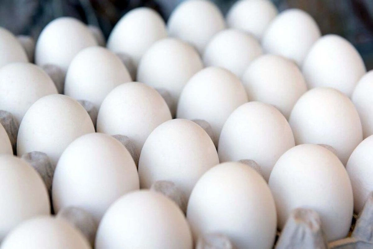 تخم مرغ روز کیلویی