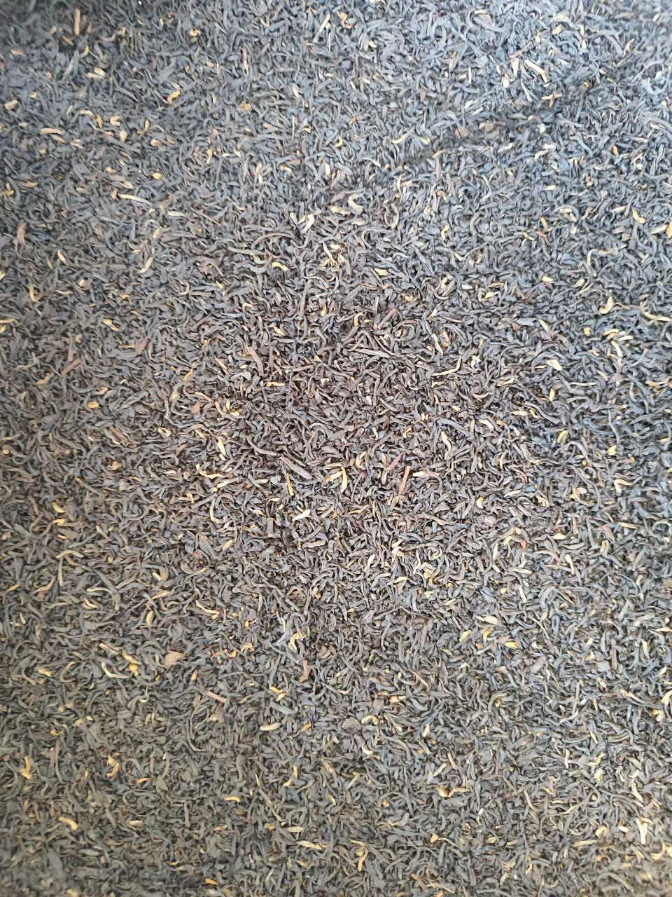 چای عقرب کیلویی