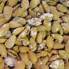 بادام محب خارجی 