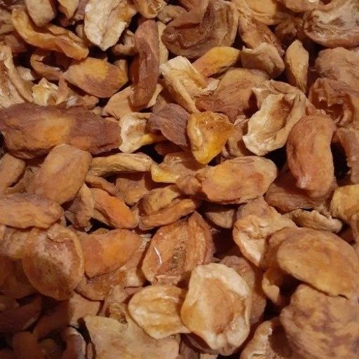 برگ زردآلو 